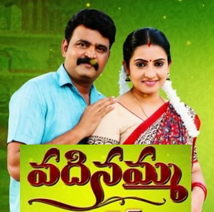 Vadinamma Daily Serial  E639- 19th Aug