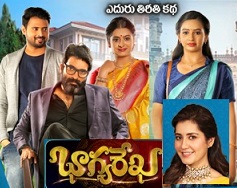 Bhagya Rekha Telugu Serial – E312 – 18th Aug